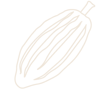 cocoa-farming-illustration